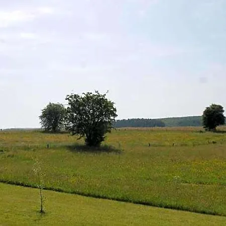 With Terrace And Pool In The Garden Pracht
